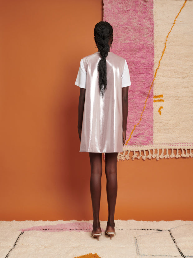 Wrenley Mini Dress
