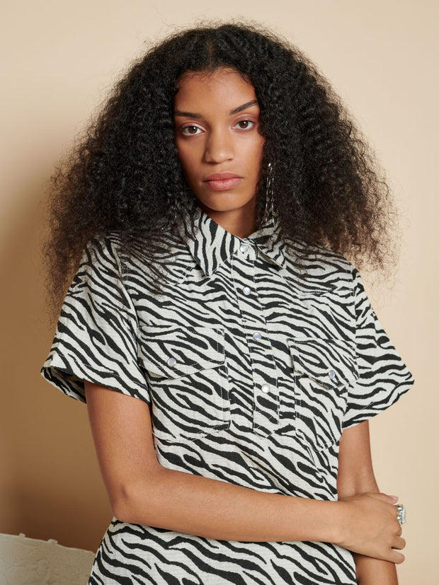 Zia Zebra Mini Dress – Ghospell