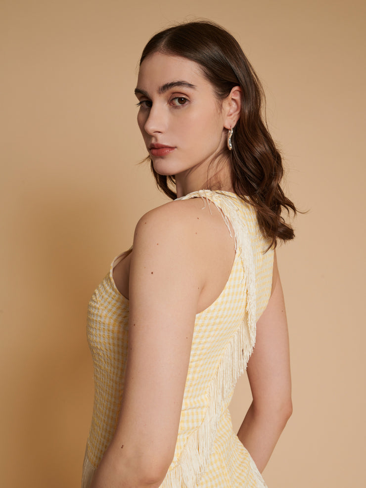 Una Gingham Fringe Dress